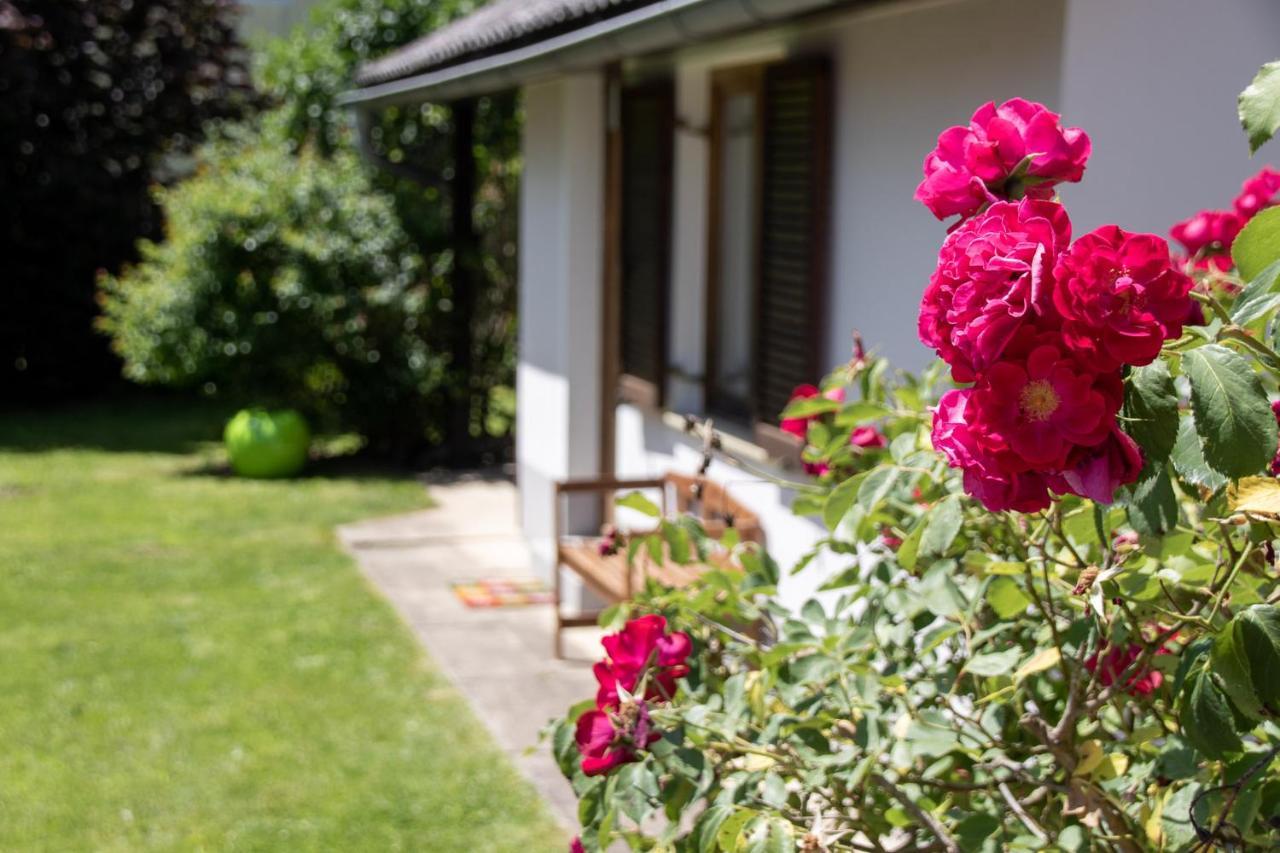 Apfelhaus Villa Wagna Dış mekan fotoğraf