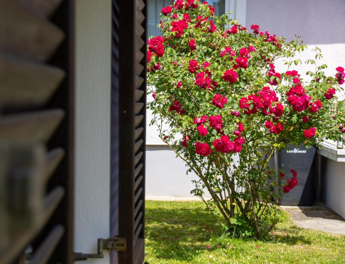 Apfelhaus Villa Wagna Dış mekan fotoğraf